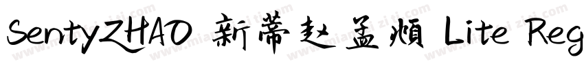 SentyZHAO 新蒂赵孟頫 Lite Regular字体转换